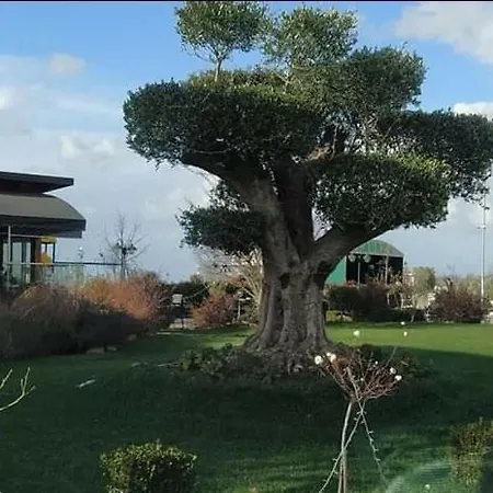 Apartment Sweet Valamar Hamallaj