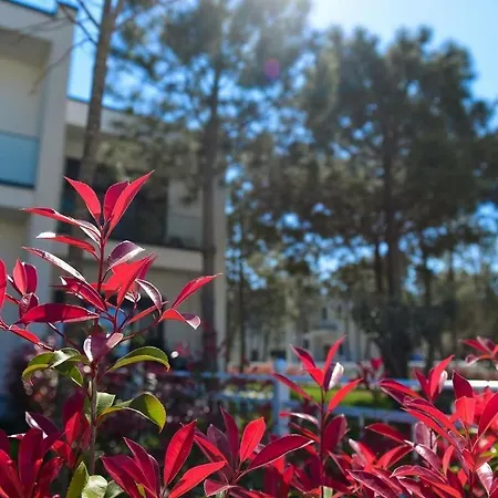 Sweet Valamar Apartment *